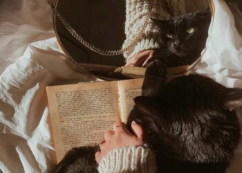 Lo sai che il gatto non si riconosce allo specchio?