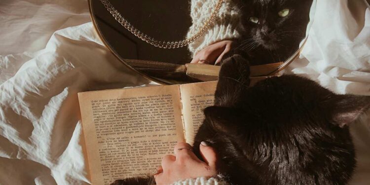 Lo sai che il gatto non si riconosce allo specchio?