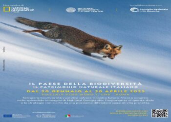 “Il Paese della biodiversità. Il patrimonio naturale italiano” mostra di National Geographic Italia e National Biodiversity Future Center