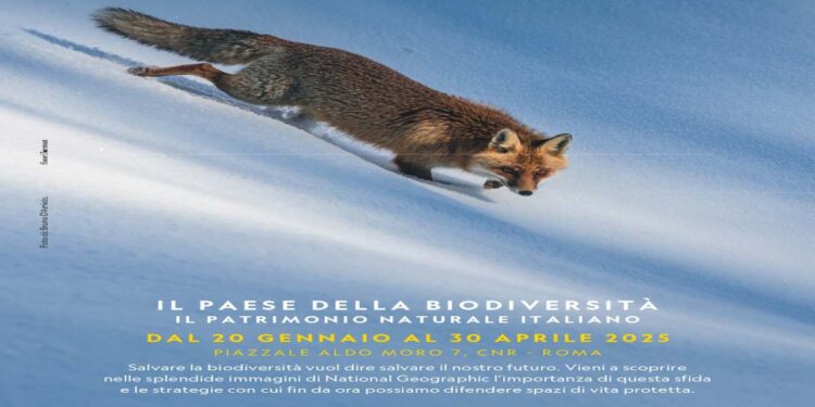 “Il Paese della biodiversità. Il patrimonio naturale italiano” mostra di National Geographic Italia e National Biodiversity Future Center
