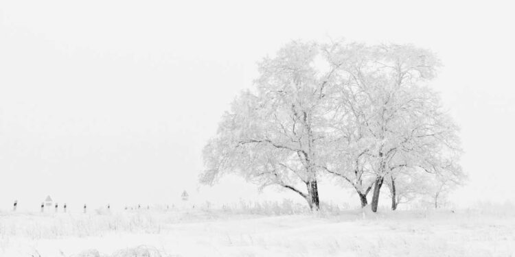 Giornata Mondiale della Neve: celebrare la bellezza dell’inverno il 19 gennaio