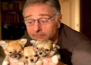 Paolo Bonolis rompe con Lucio Presta “dopo 35 anni”: l’annuncio sui social