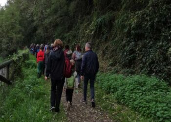 Viandanti del lunedì: otto cammini tra chiese e aziende agricole nei parchi ATE Insubria-Olona