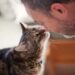 I 3 segni che ti fanno capire che il tuo gatto è innamorato di te