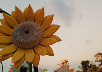 Un girasole tra le macerie: così Milano ricorda i tre anni di guerra in Ucraina