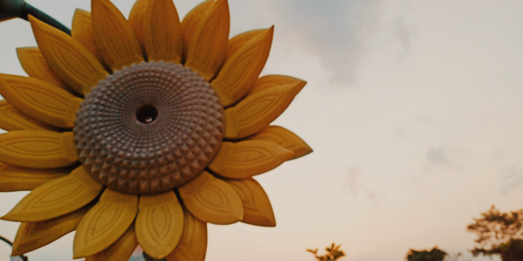 Un girasole tra le macerie: così Milano ricorda i tre anni di guerra in Ucraina