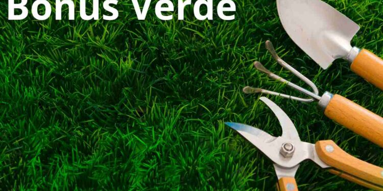 Bonus Verde 2025: tutto quello che devi sapere