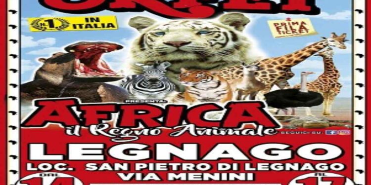 A Legnago lo show di successo del Circo Paolo Orfei, “Africa, Il Regno Animale”