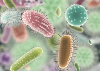 Scoperto un nuovo coronavirus nei pipistrelli: può infettare l’uomo