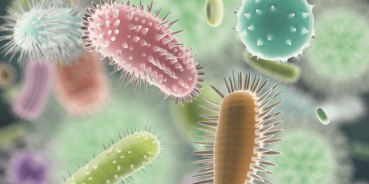 Scoperto un nuovo coronavirus nei pipistrelli: può infettare l’uomo