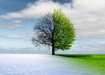 Le follie del Meteo, oggi primavera e domani inverno