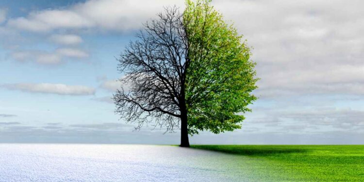 Le follie del Meteo, oggi primavera e domani inverno