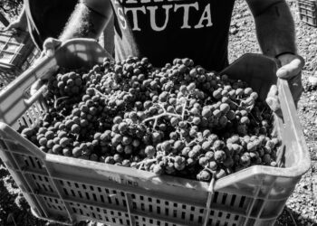 “SUD, Racconti di Vite”:  la Primavera si apre con l’annuncio dei vincitori della prima edizione del Concorso Letterario Nazionale