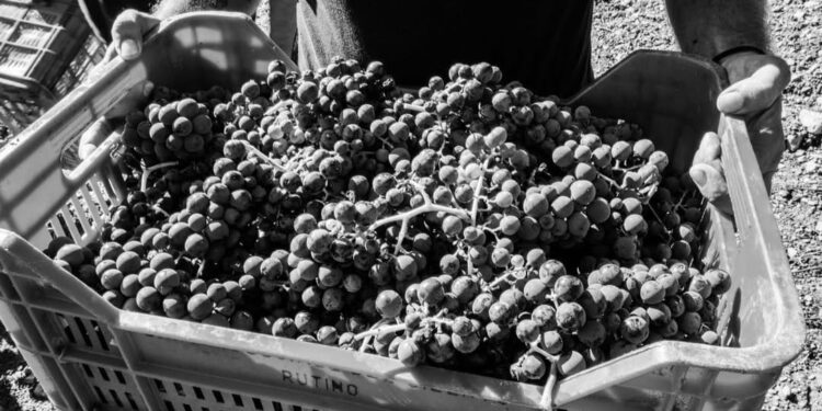 “SUD, Racconti di Vite”:  la Primavera si apre con l’annuncio dei vincitori della prima edizione del Concorso Letterario Nazionale