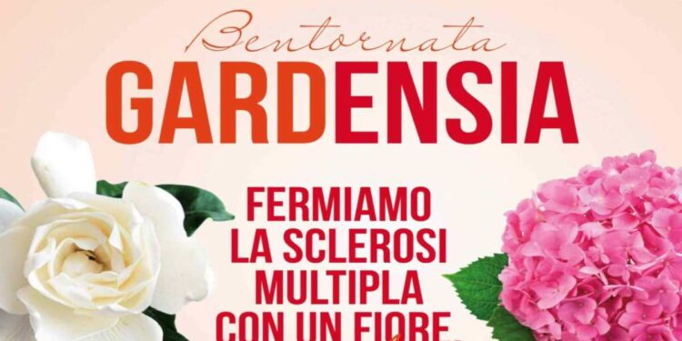 Il 7, 8 e 9 marzo fermiamo la sclerosi multipla con un fiore: tornano le gardensie dell’Aism per sostenere la ricerca