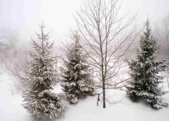 Meteo, rottura del vortice polare e stratwarming: cosa sta succedendo?