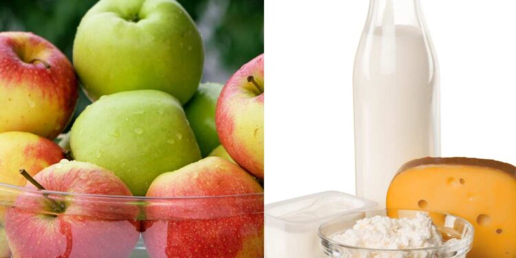 La scoperta: una proteina da sempre studiata nel cervello ora identificata in alimenti e diete salubri