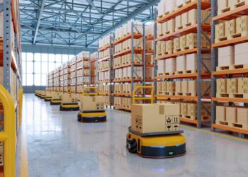 La Nuova Frontiera del Mercato: La Vendita di Pacchi Smarriti di Amazon