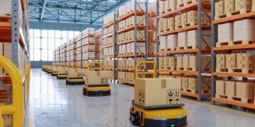 La Nuova Frontiera del Mercato: La Vendita di Pacchi Smarriti di Amazon