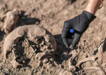 Uomo sepolto dal fango nel sonno: cosa racconta lo scheletro del ‘custode’ di Ercolano