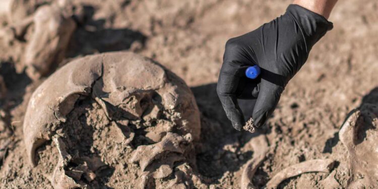 Uomo sepolto dal fango nel sonno: cosa racconta lo scheletro del ‘custode’ di Ercolano