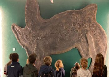 Museo dei fossili di Besano: visite guidate per grandi e piccini e aperture straordinarie ad aprile