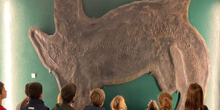 Museo dei fossili di Besano: visite guidate per grandi e piccini e aperture straordinarie ad aprile
