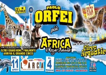 ACROBATA PESCARESE SI ESIBISCE AL CIRCO “ROYAL PAOLO ORFEI” IN TOURNEE A SPOLTORE