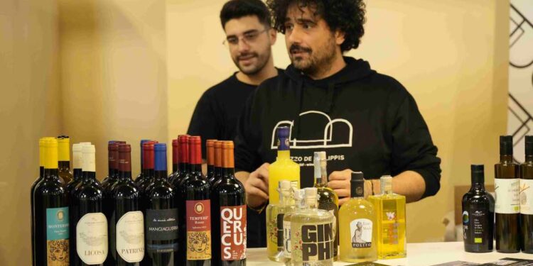 Cilento Tastes 2025: una nuova visione del brand Cilento