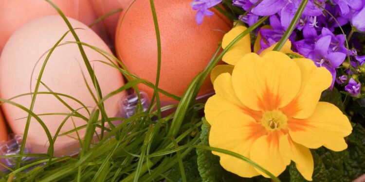 Pasqua e Pasquetta 2025: le top 30 destinazioni degli italiani – La classifica di Holidu