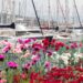 DAL 16 AL 18 MAGGIO 2025 A GENOVA TORNA YACHT&GARDEN, LA XVII EDIZIONE DELLA MOSTRA-MERCATO DEDICATA AL GIARDINO MEDITERRANEO