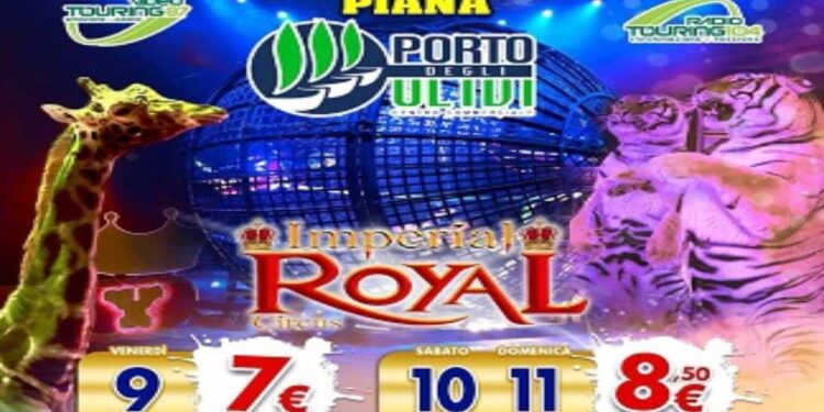 Per la prima volta nella Piana Imperial Royal Circus il colosso italiano