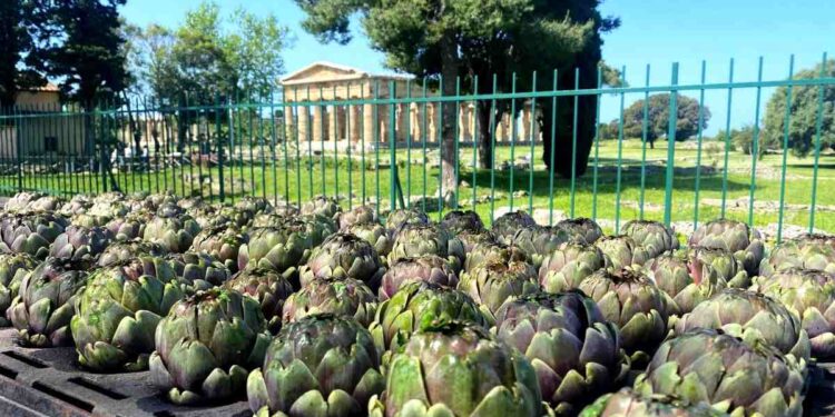 Festa del Carciofo Igp di Paestum tra gusto e tradizione: tra gli ospiti Rita De Crescenzo e Gigione