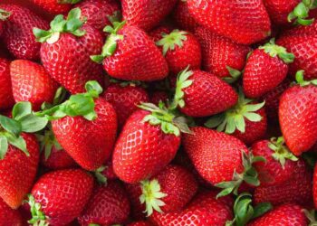 Pioggia di fragole spagnole sull’Italia. L’allarme: “Attenti alle etichette”