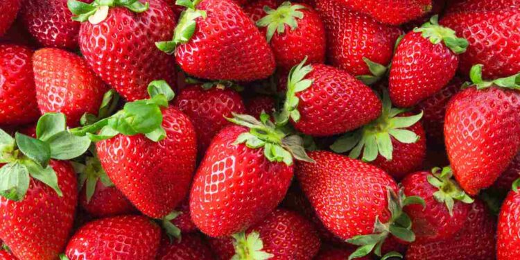 Pioggia di fragole spagnole sull’Italia. L’allarme: “Attenti alle etichette”