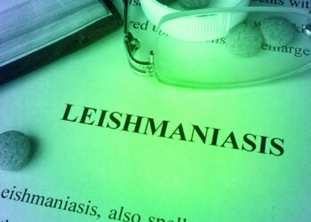 In Italia la leishmaniosi è ormai endemica