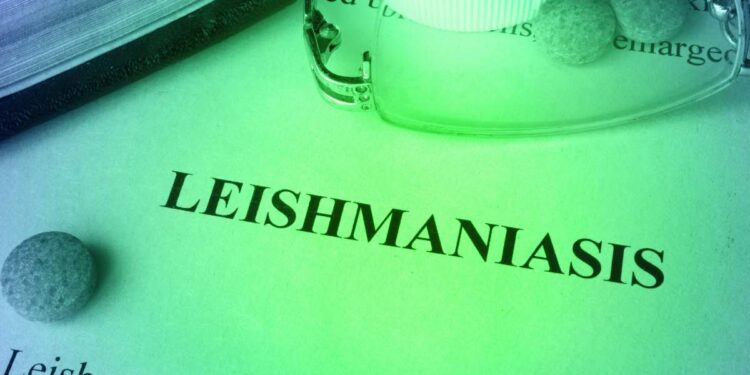 In Italia la leishmaniosi è ormai endemica