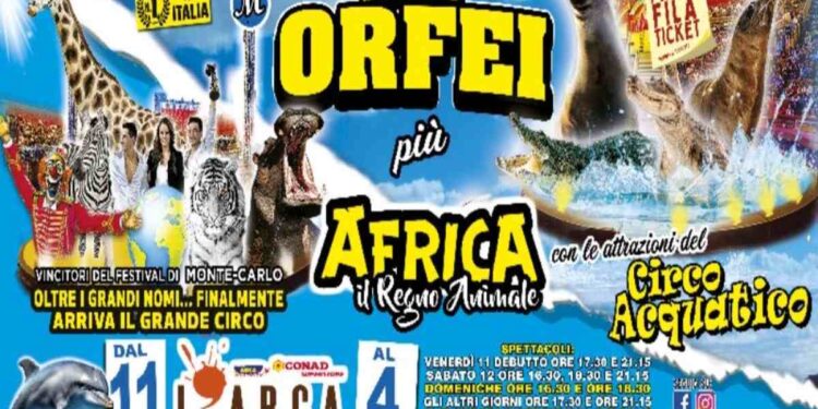 Spoltore: lo show di successo del Circo Royal Paolo Orfei presenta “Africa, Il Regno Animale”