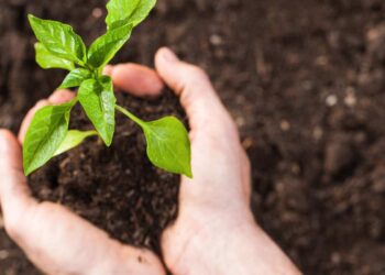 Messina, nasce l’Orto Sociale: sei ettari per inclusione e sostenibilità