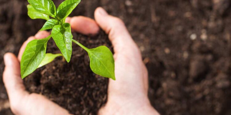 Messina, nasce l’Orto Sociale: sei ettari per inclusione e sostenibilità