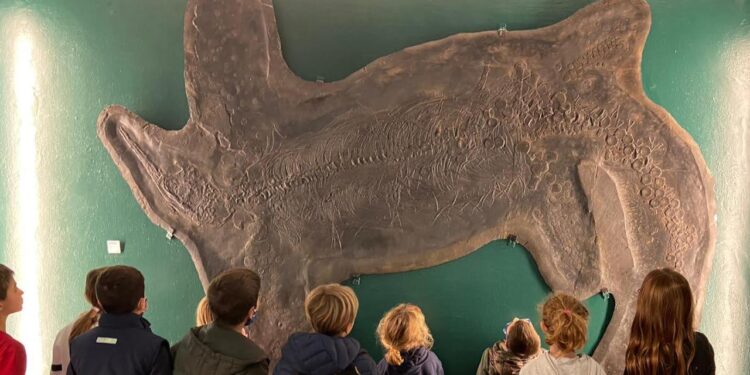 Maggio 2025 a Besano: conferenze, laboratori e visite guidate per grandi e piccini al Museo dei Fossili