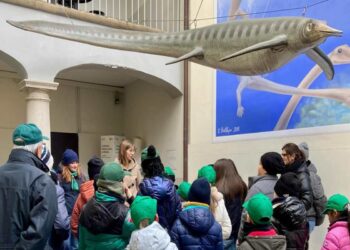 Domenica 18 maggio alla scoperta dei fossili del Triassico per la giornata internazionale dei musei a Besano (Va) e Meride (CH)
