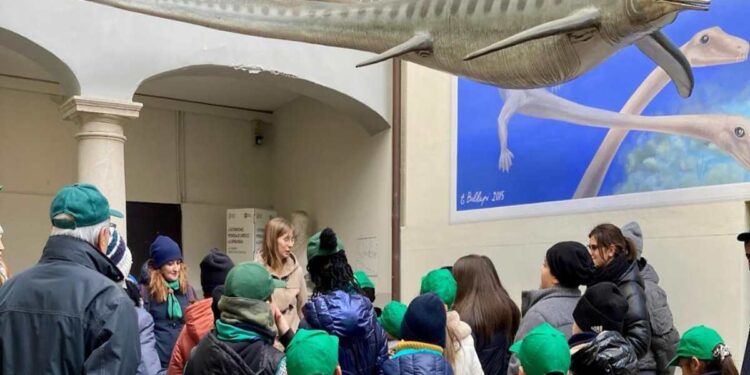 Domenica 18 maggio alla scoperta dei fossili del Triassico per la giornata internazionale dei musei a Besano (Va) e Meride (CH)