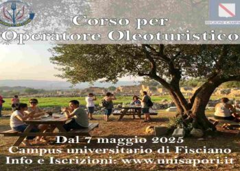Al via il primo Corso in Campania per Operatore Oleoturistico