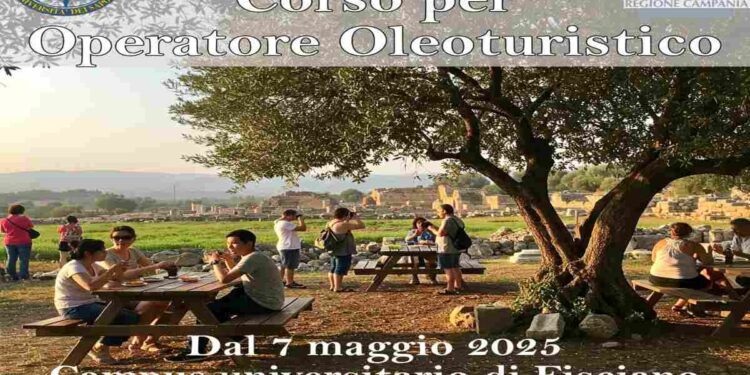 Al via il primo Corso in Campania per Operatore Oleoturistico