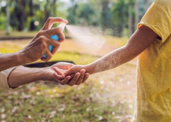Inizia la stagione delle zanzare: Ecco come proteggere tutta la famiglia