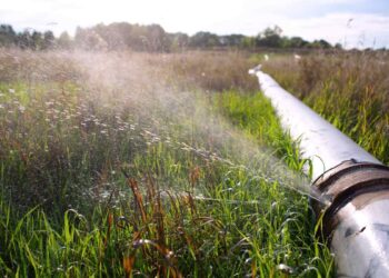 Primi caldi, e al sud torna la grande sete