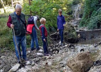 Besano, escursione a piedi sulle tracce dei fossili: sabato 14 giugno con visita agli scavi e al museo