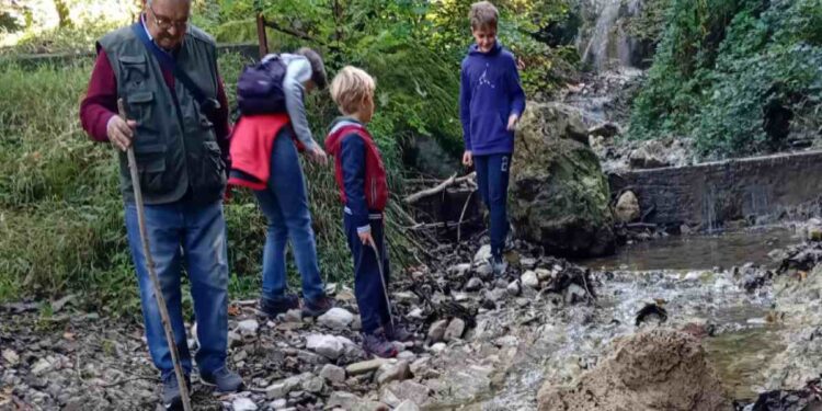 Besano, escursione a piedi sulle tracce dei fossili: sabato 14 giugno con visita agli scavi e al museo