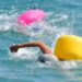 Nuoto in acque libere: a Savona i campioni del CSI (5 km, miglio e mezzo miglio nautico)